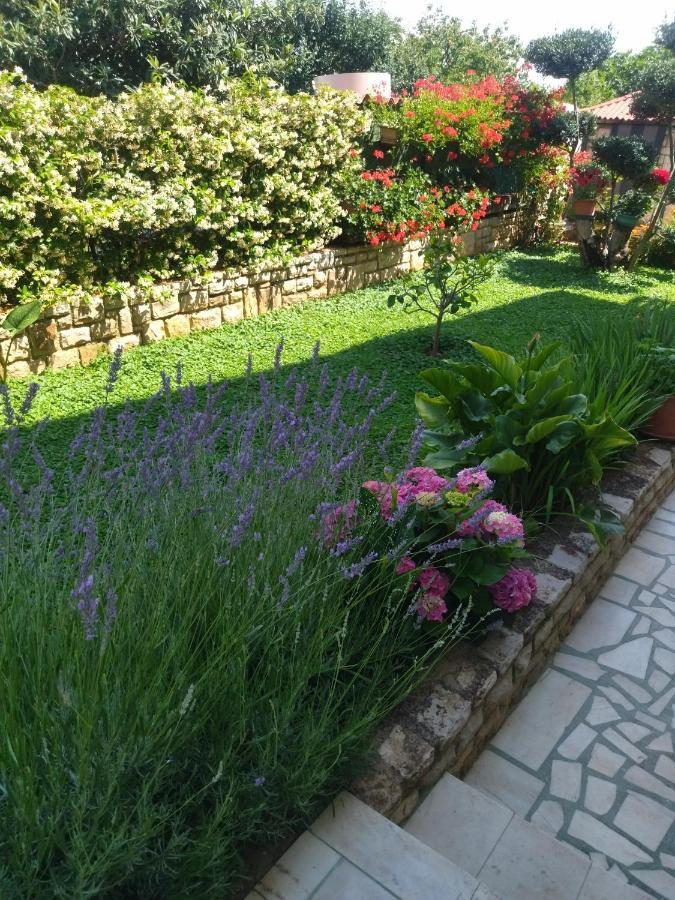 Novigrad Istria Zelena Oaza Apartment מראה חיצוני תמונה