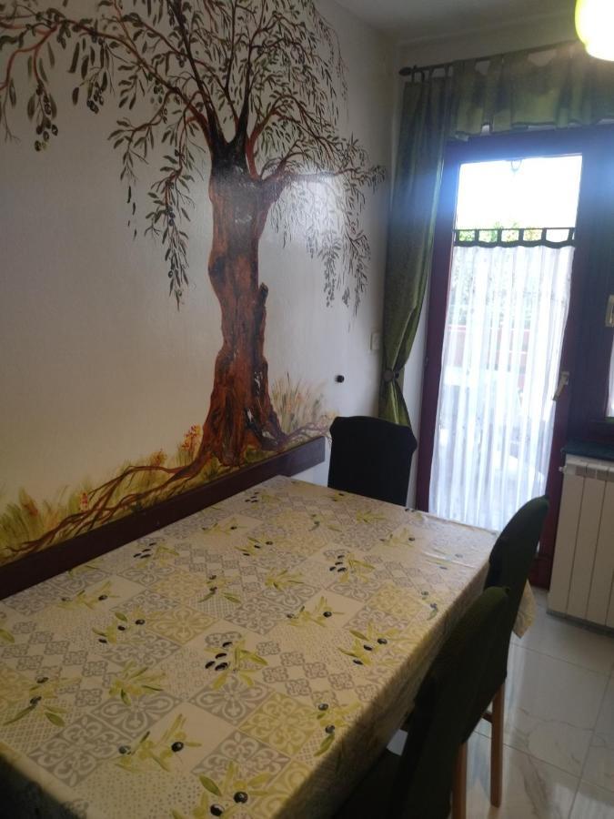 Novigrad Istria Zelena Oaza Apartment מראה חיצוני תמונה