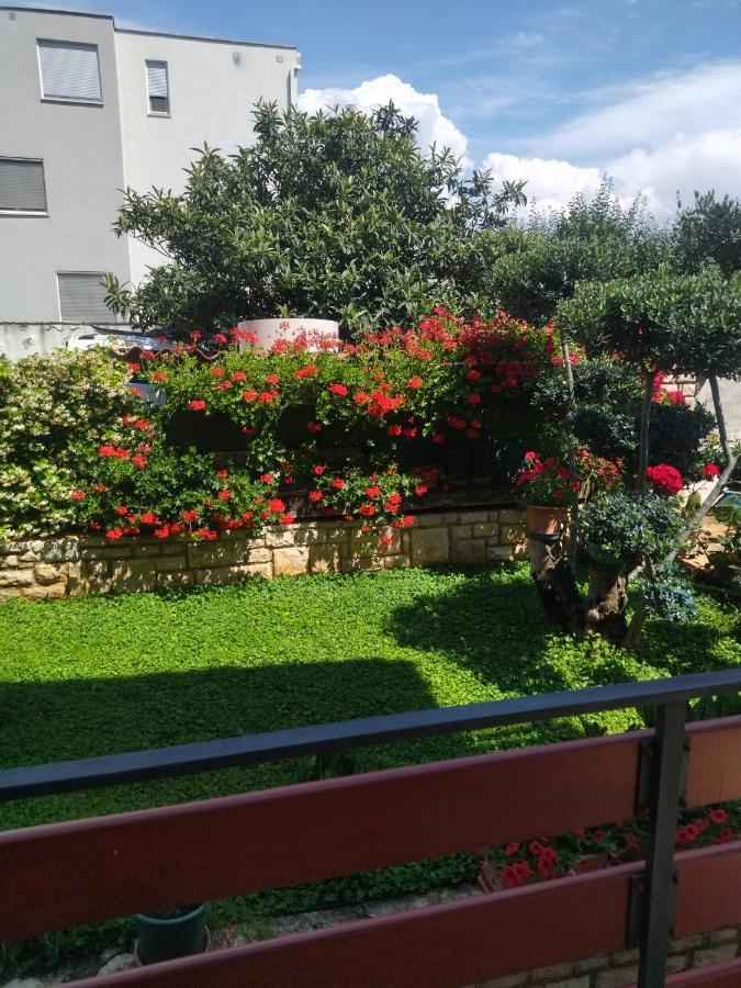 Novigrad Istria Zelena Oaza Apartment מראה חיצוני תמונה
