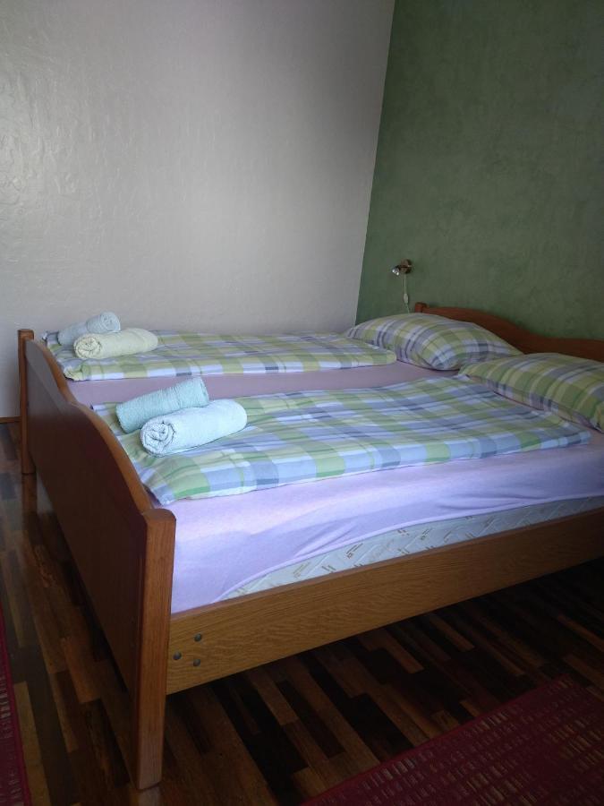 Novigrad Istria Zelena Oaza Apartment מראה חיצוני תמונה