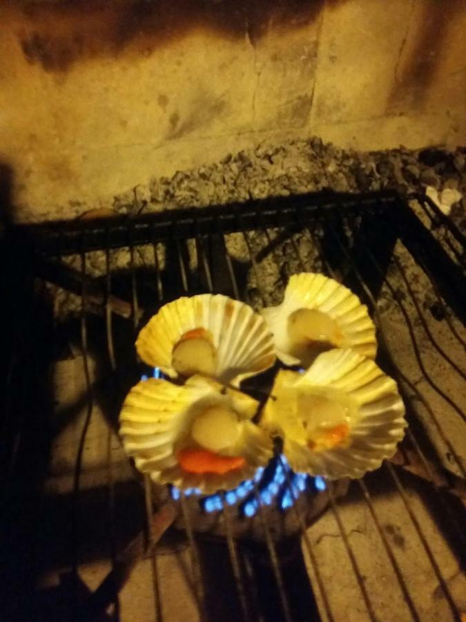 Novigrad Istria Zelena Oaza Apartment מראה חיצוני תמונה