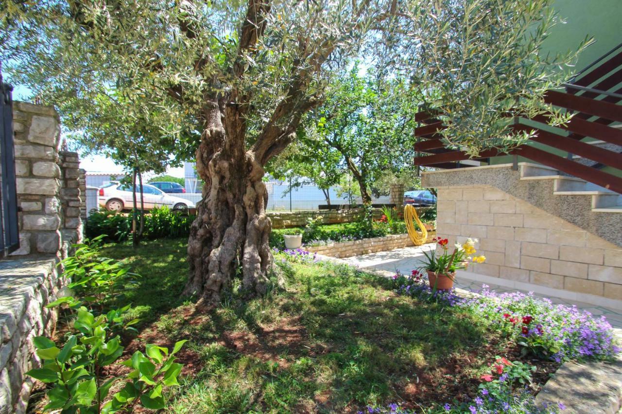 Novigrad Istria Zelena Oaza Apartment מראה חיצוני תמונה