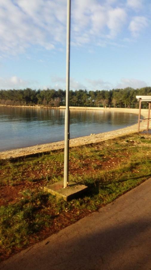 Novigrad Istria Zelena Oaza Apartment מראה חיצוני תמונה